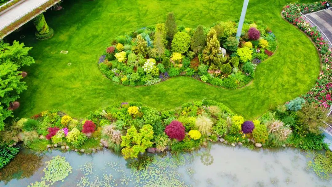 最新静安这些公园园艺展示作品获奖啦