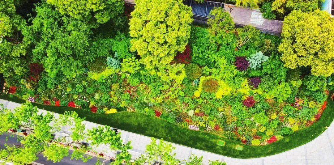 最新静安这些公园园艺展示作品获奖啦