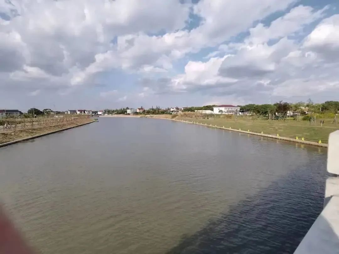 我的位置:>上观号>上海水务海洋>文章详情>基本情况规划外环运河位于