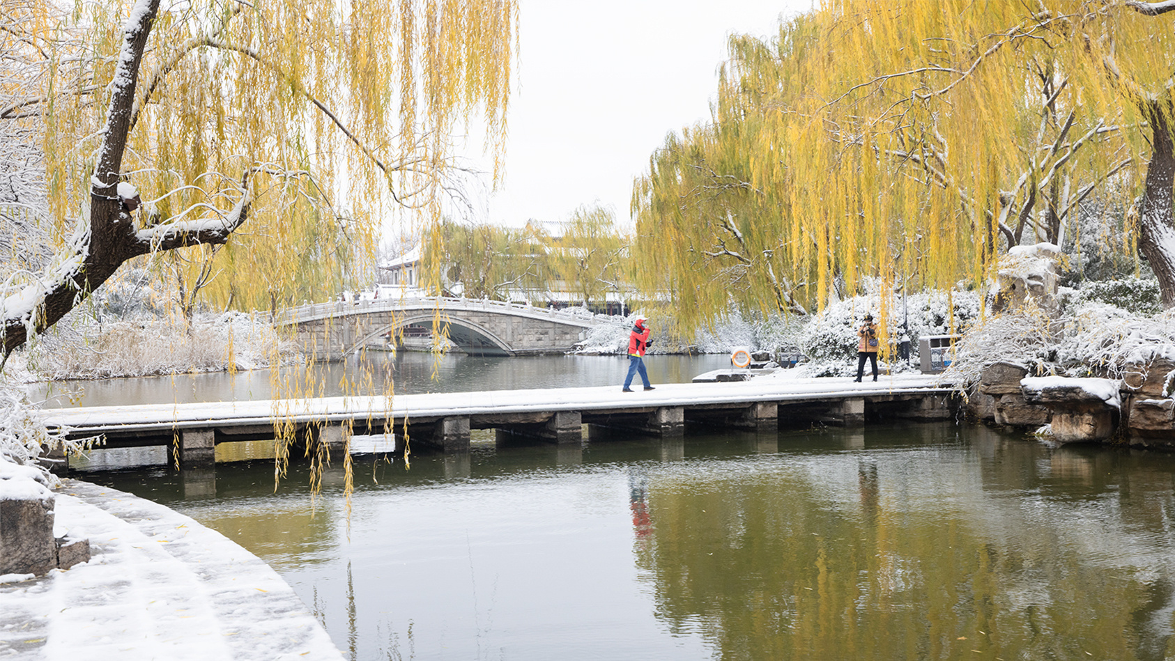 山东好景雪后大明湖宛如仙境