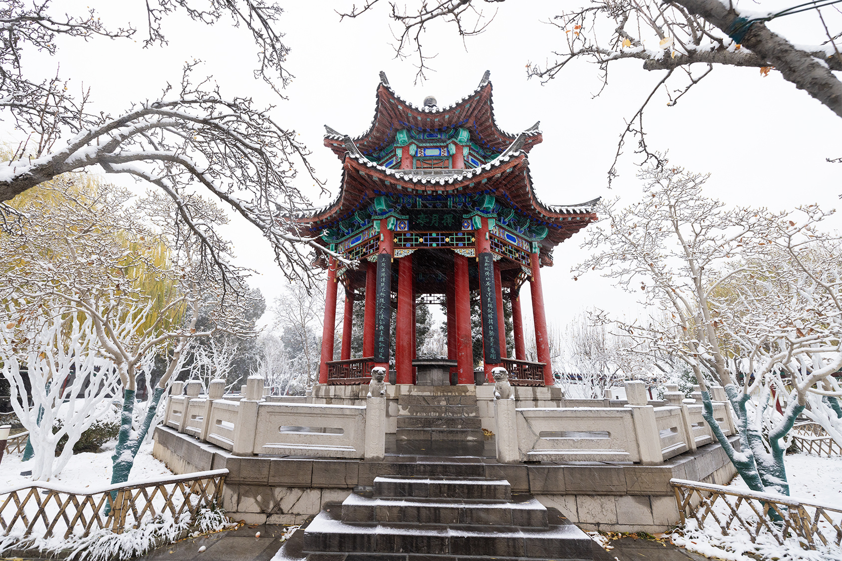 山东好景雪后大明湖宛如仙境