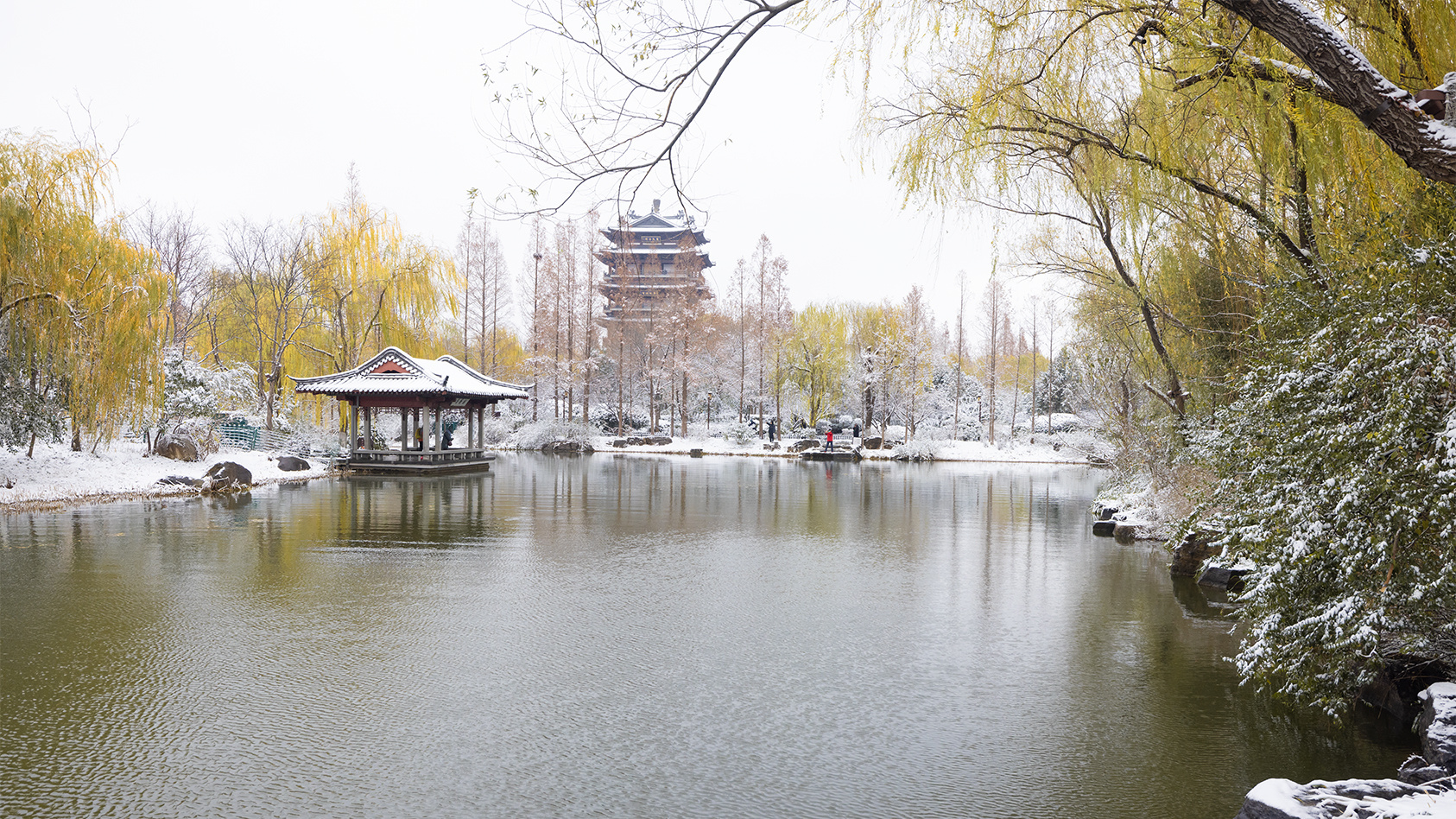 山东好景雪后大明湖宛如仙境