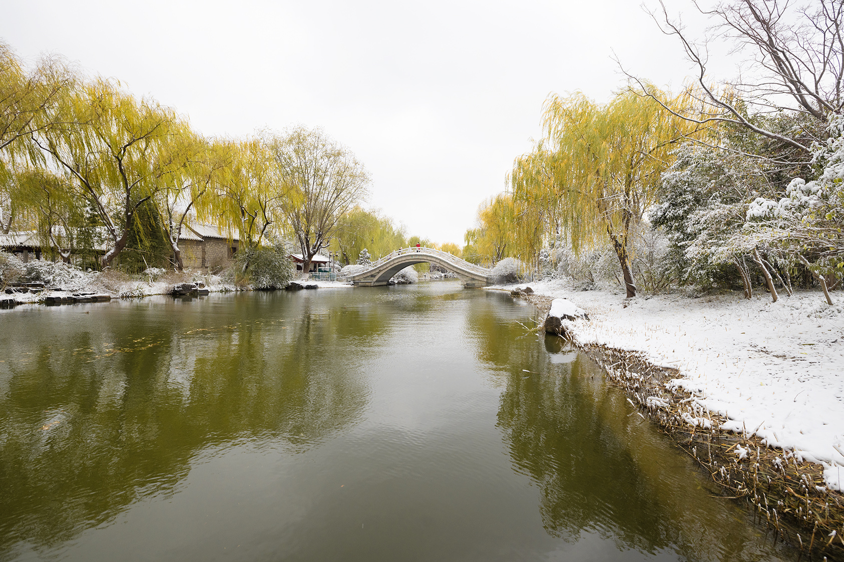 山东好景雪后大明湖宛如仙境
