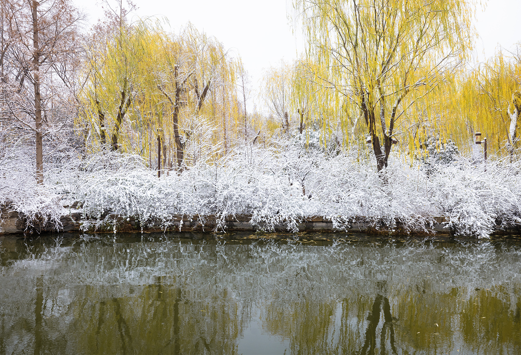 山东好景雪后大明湖宛如仙境