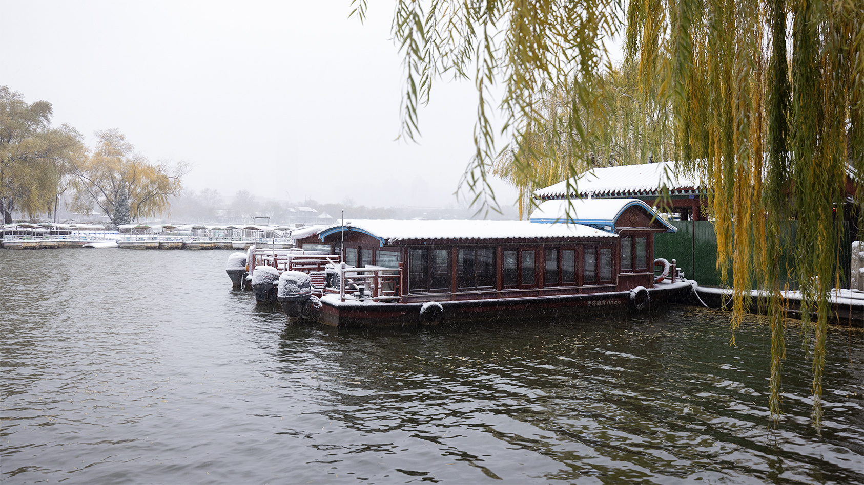 山东好景雪后大明湖宛如仙境