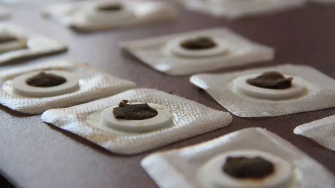 冬病冬治家门口就能预约三九贴啦