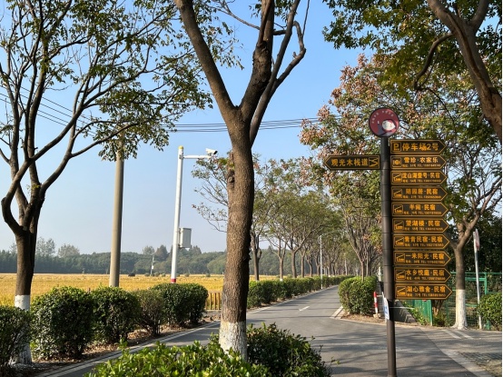 微更新让蔡浜村更美了