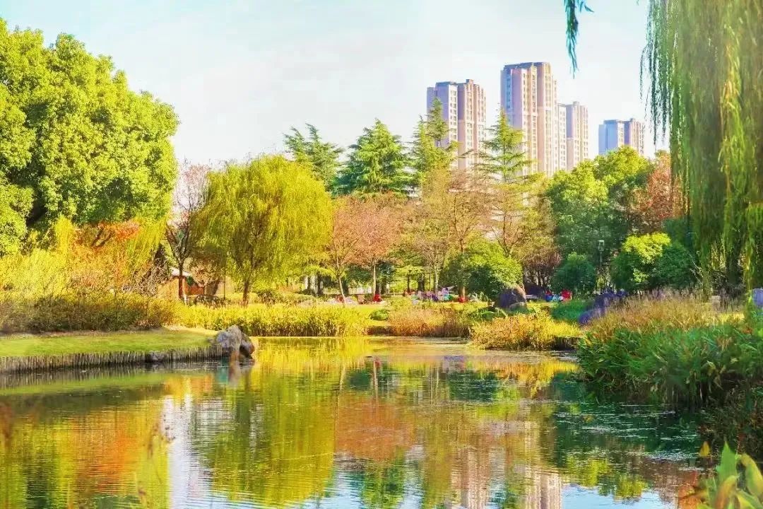 走来松江邂逅冬日暖阳定格美景