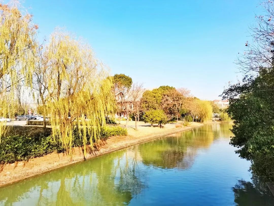 走来松江邂逅冬日暖阳定格美景