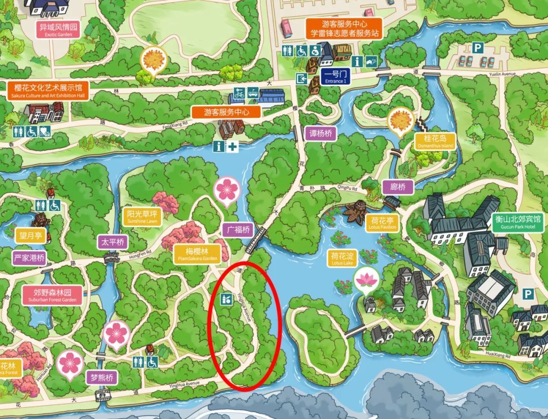 顾村公园2024年第一朵花悄然绽放待你来寻香