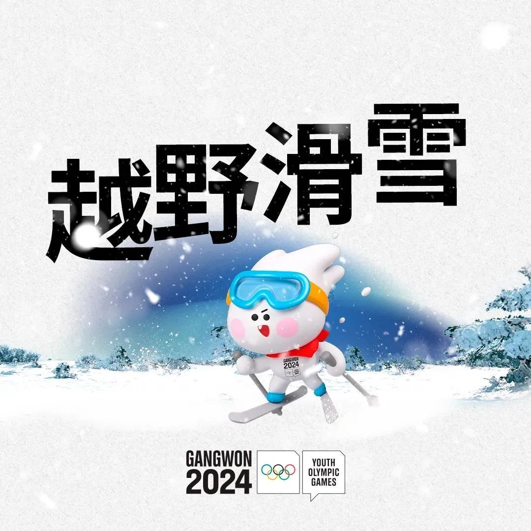 冬青奥会2024图片