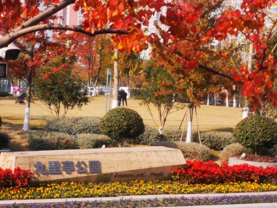 对标人民满意绣花般精心打造华亭九里成功创建松江区第一批城市管理