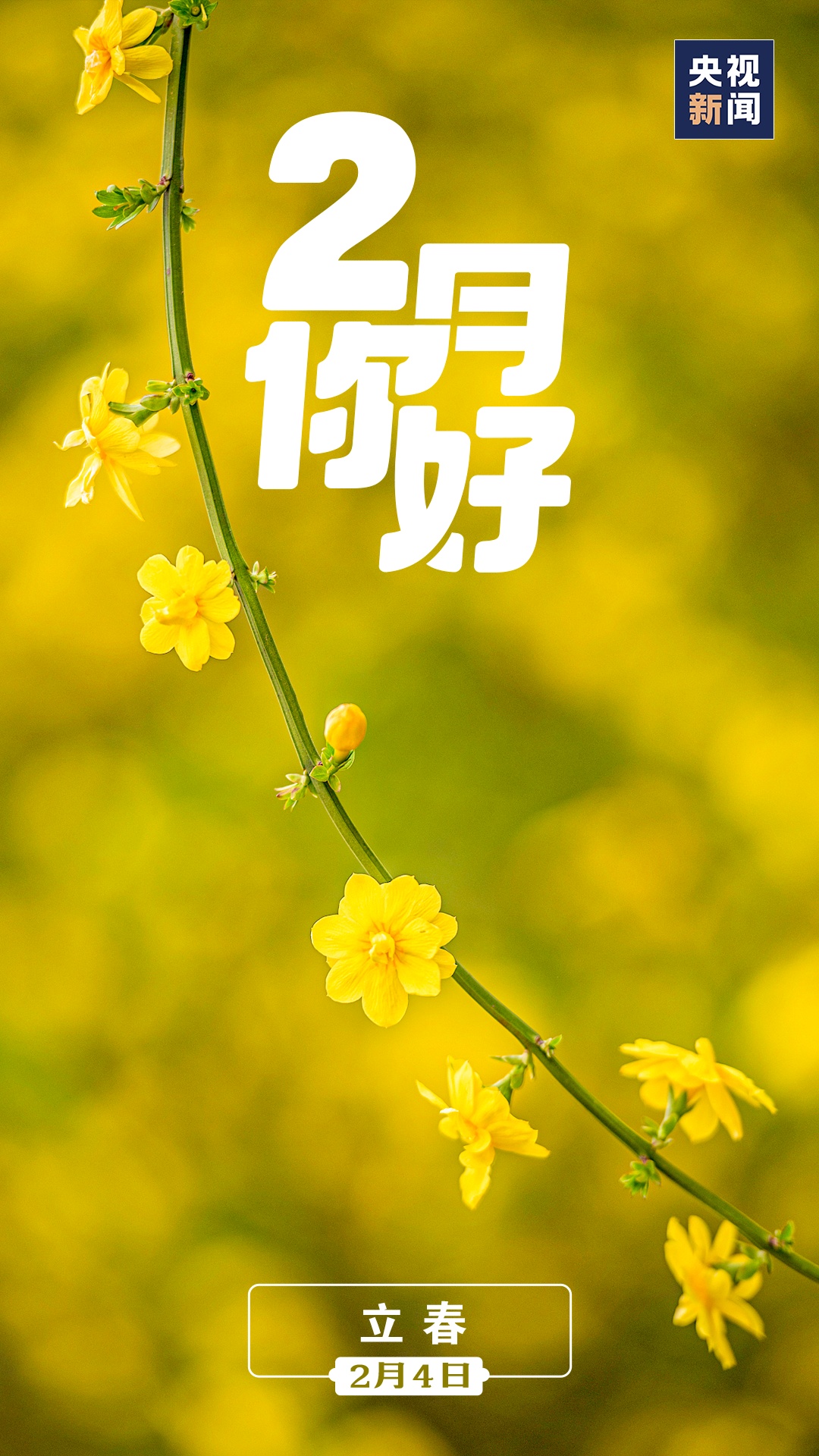 2月你好