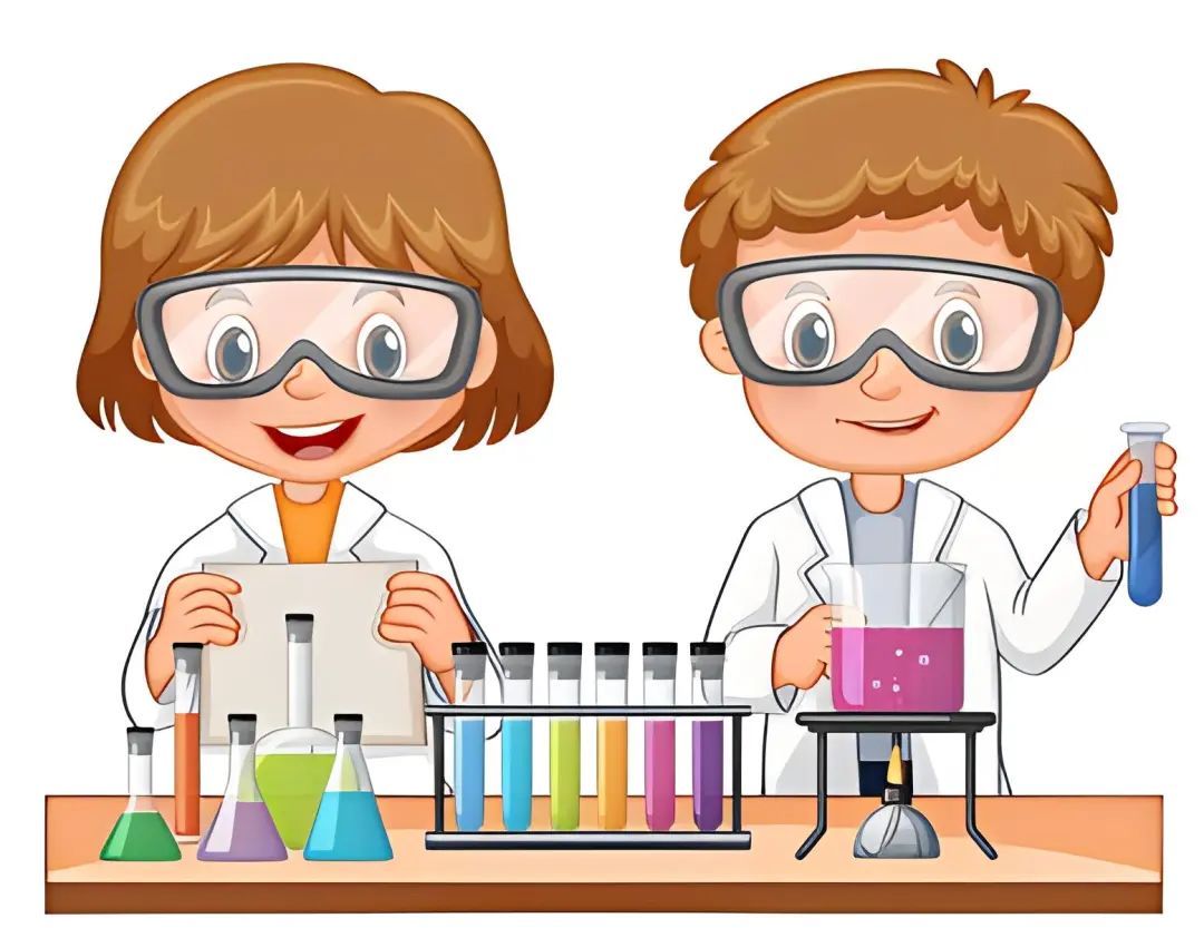 开始报名!涉及运动,艺术,科学实验……快来