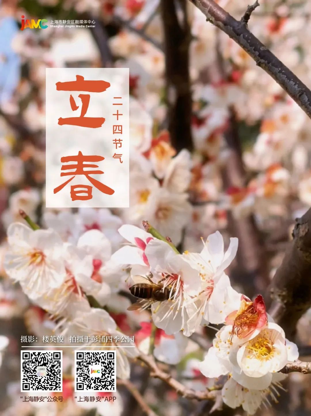 今日立春在静安等春来