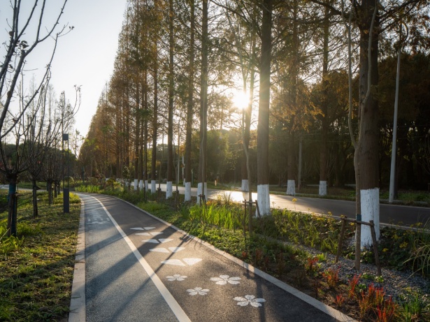 分享森林覆盖率306开放休闲林地乡村公园观光休闲点走进好逛的青浦方