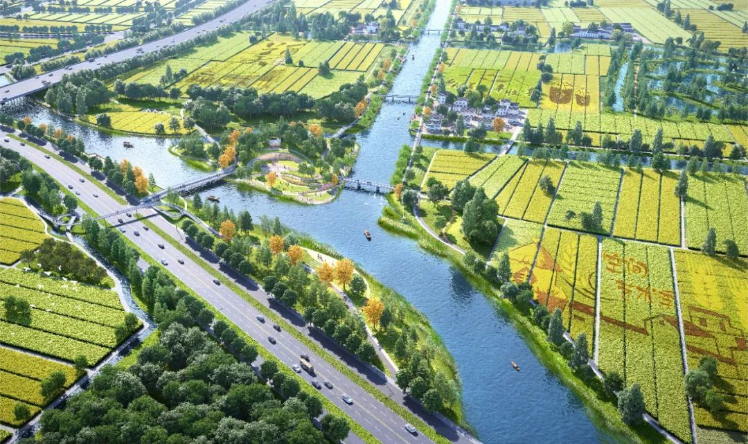 奋起一跃更快更高聚力推进嘉定新城建设