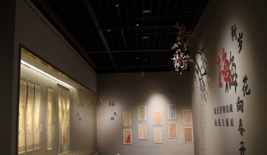 馆内梅花朵朵开松江博物馆说
