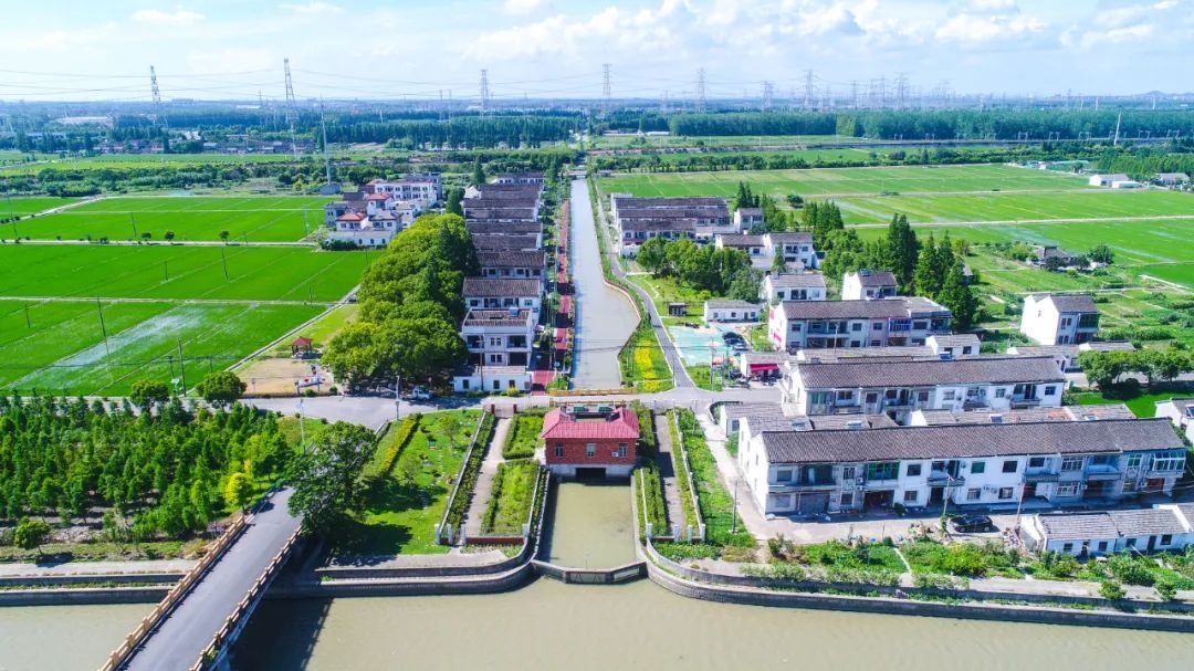 古韵与现代兼具松江这个乡村美到心坎上了