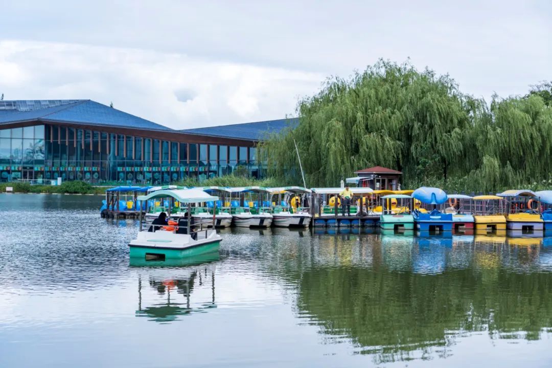 崇明春节旅游消费市场"热辣滚烫"_上观新闻