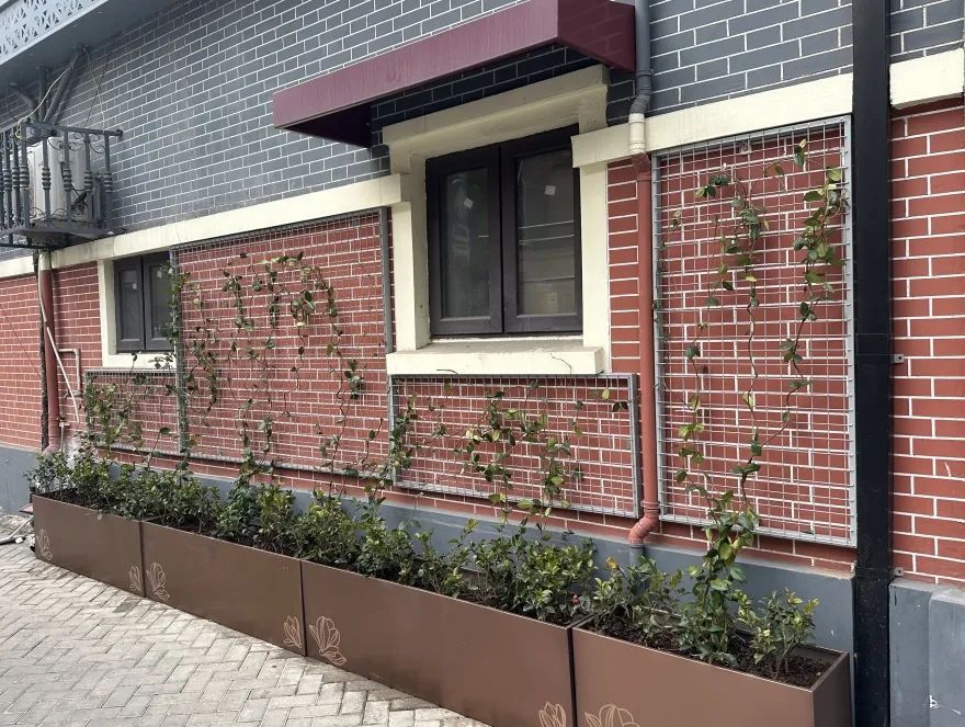 虹口新增多处立体绿化看看你家门口有没有