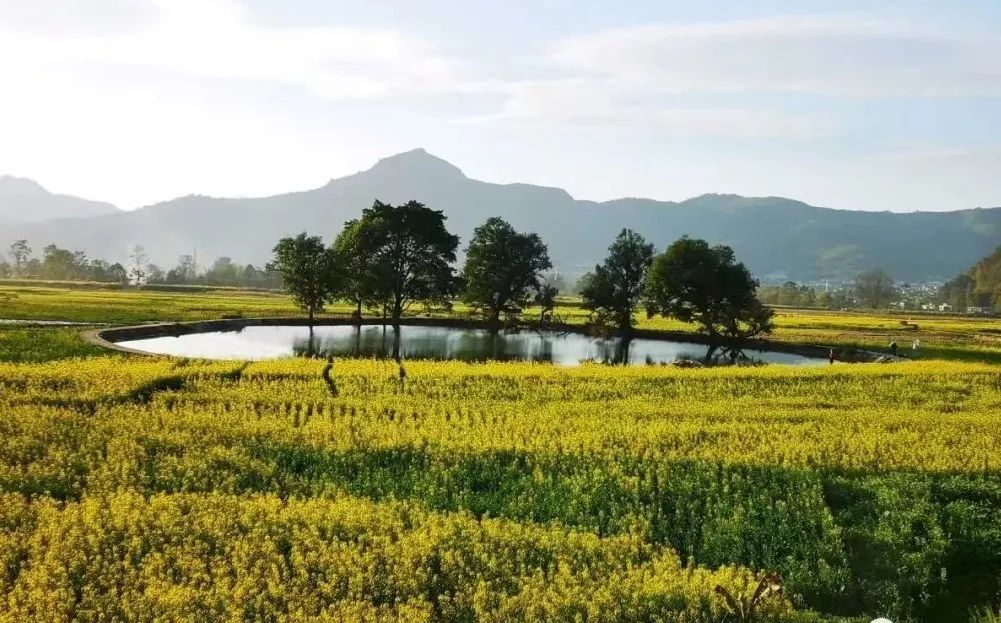 耿马风景图片