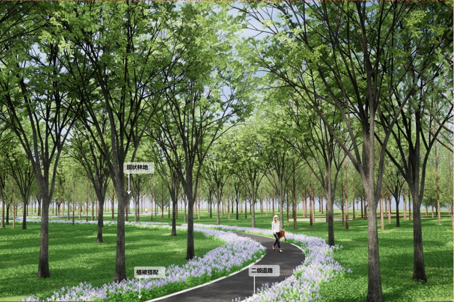 又有一处开放式休闲林地要来啦看看在不在你家附近