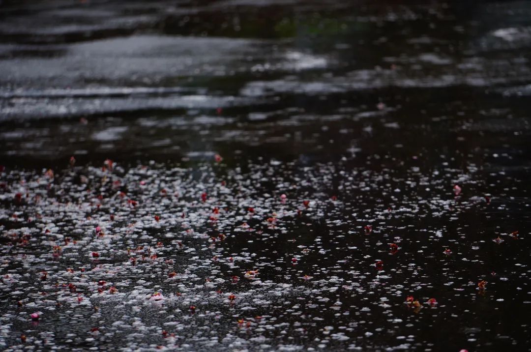 闵行出现冰粒!上海“冻雨”了吗?