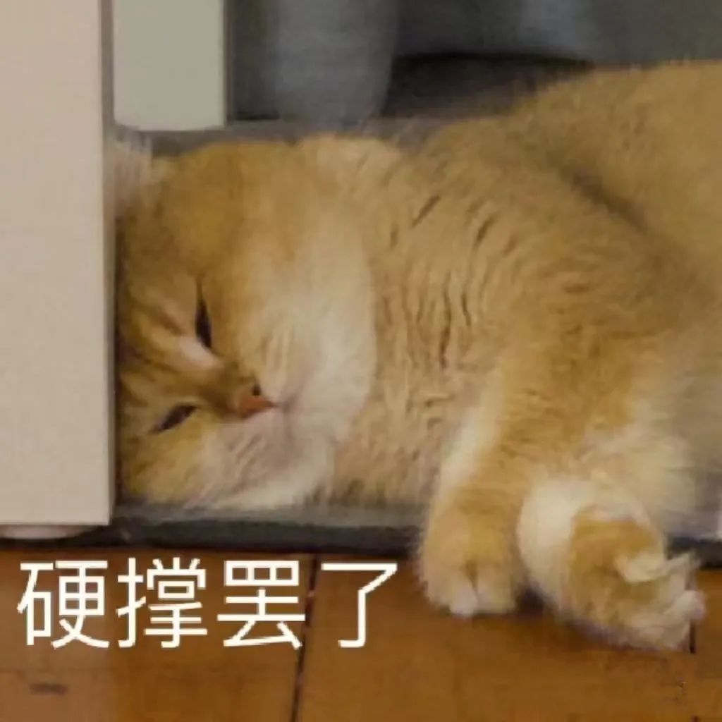 目前著名的共享充电宝运营商有"三电一兽"(街电,来电,小电,怪兽).