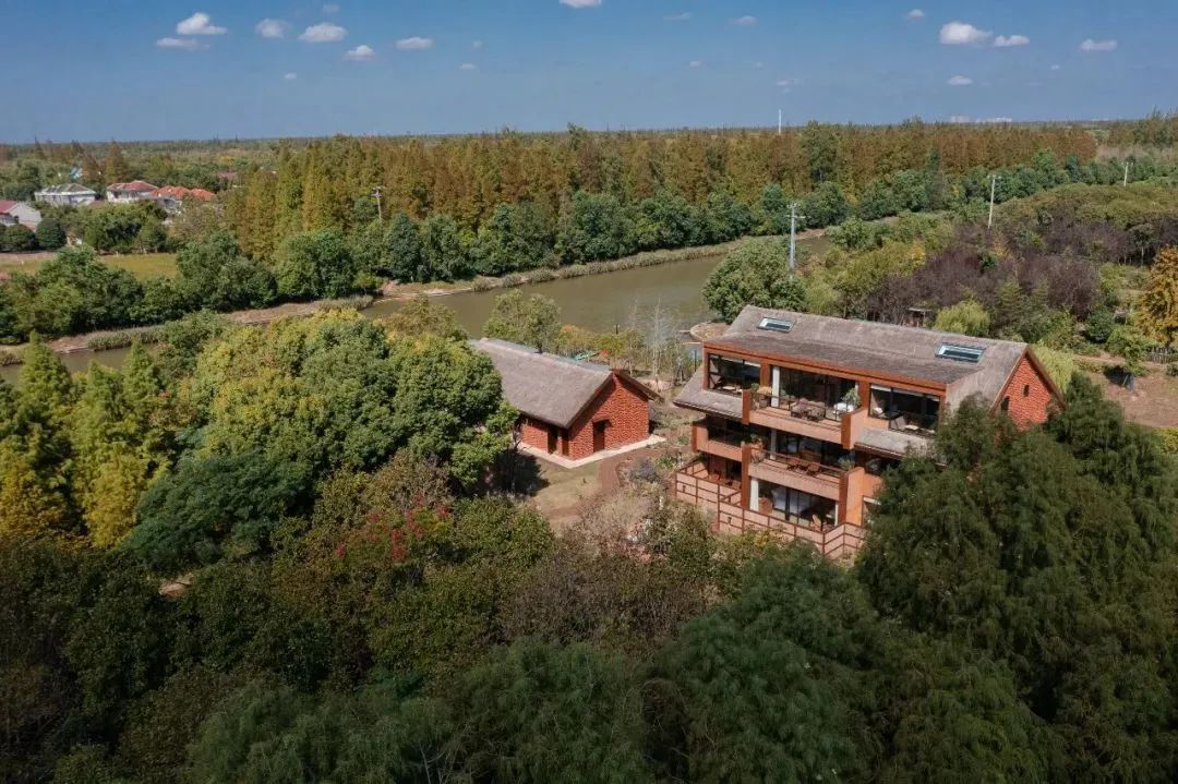 这位女演员在崇明拍的时尚大片,美翻了!_上观新闻