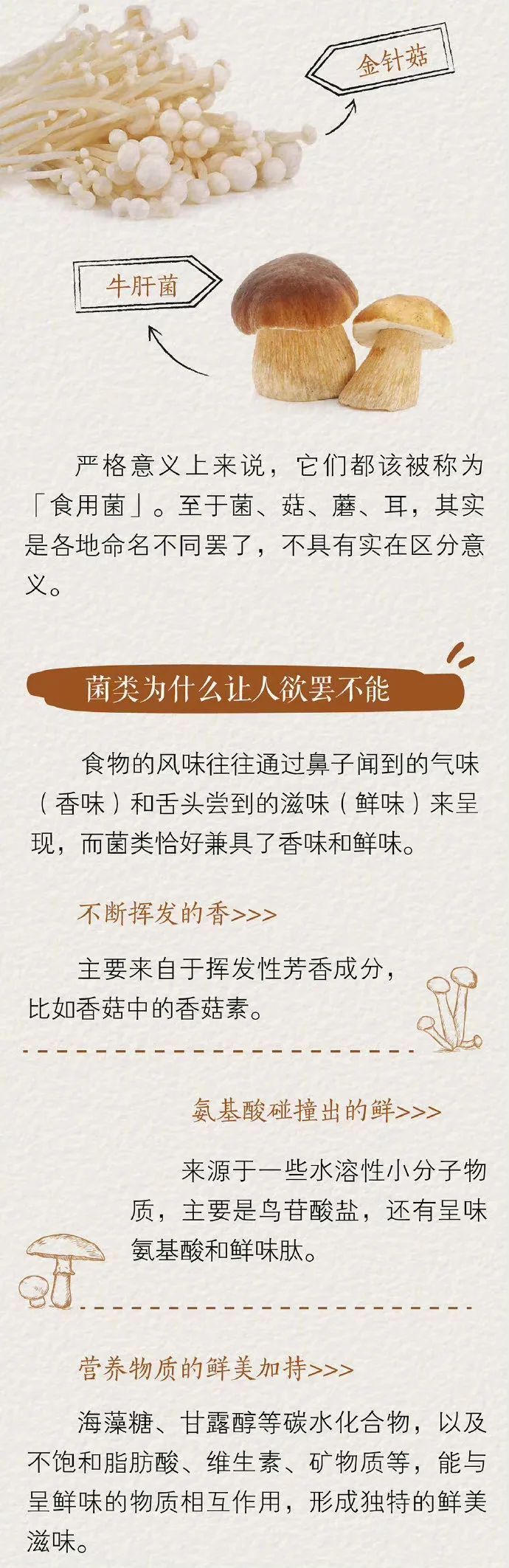 蘑菇里到底藏了哪些营养？