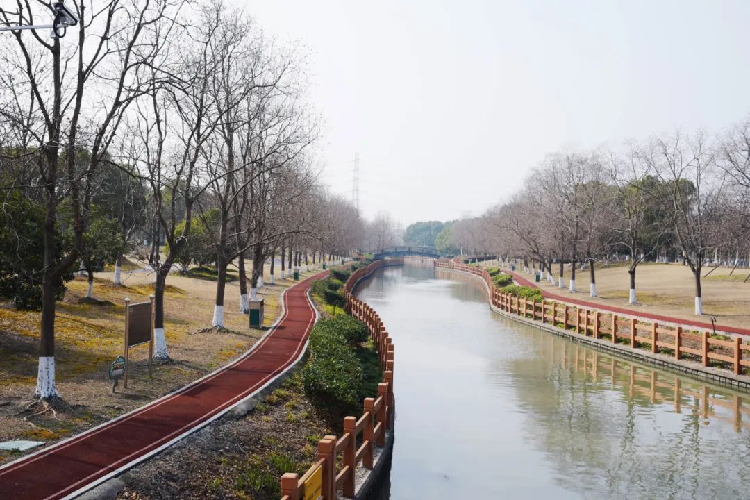 地址:九亭镇勤富路503号吴家浜绿地公园北场开放林地是一片充满自然