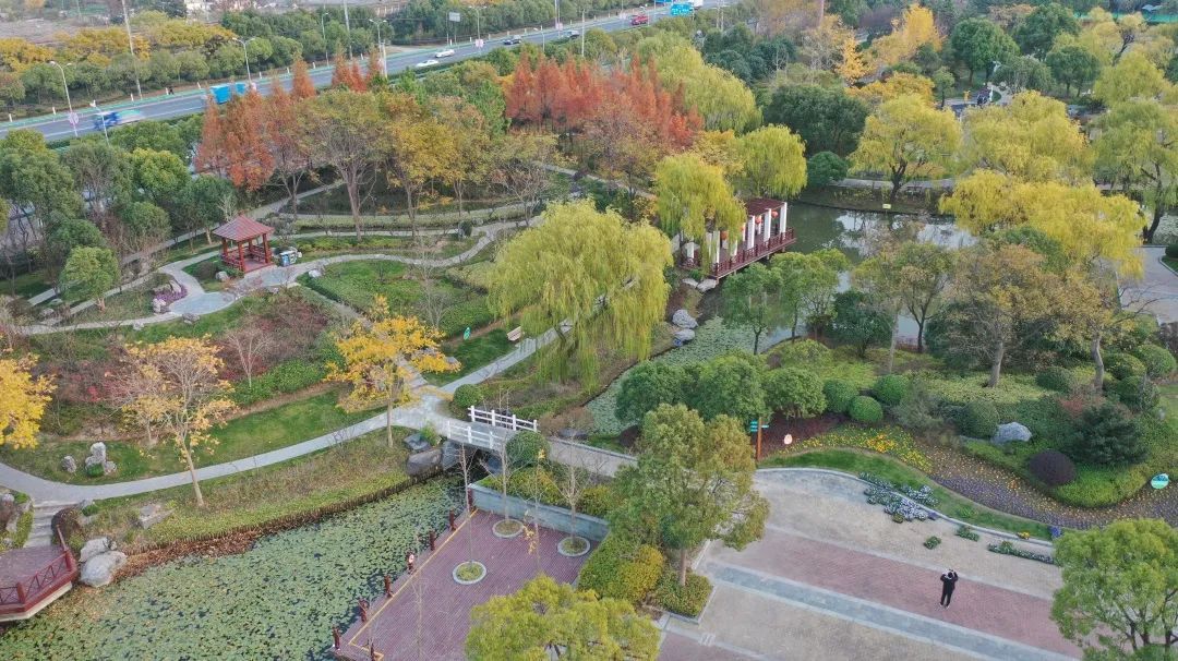 3月4日起闭园闵行这座公园开始修缮啦
