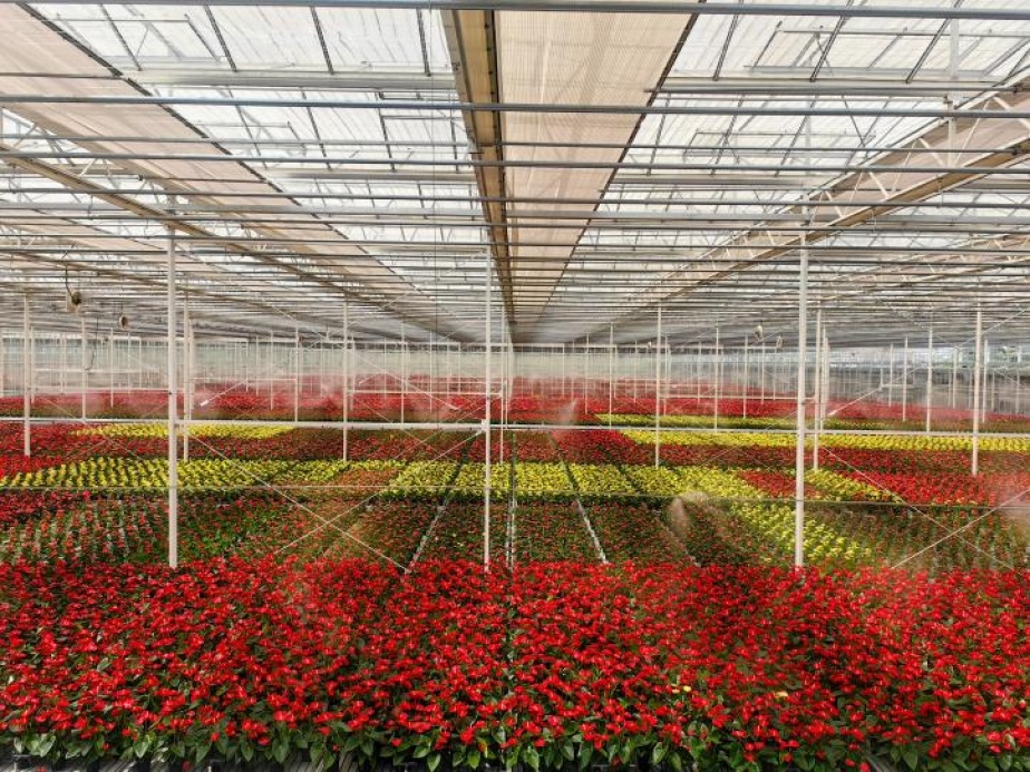 浦东新区三家花企入选第一批上海市花卉四新技术示范基地