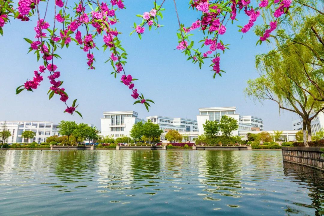 提质攀登!《文汇报》聚焦上海大学算力赋能科研和一流人才培养_上观新