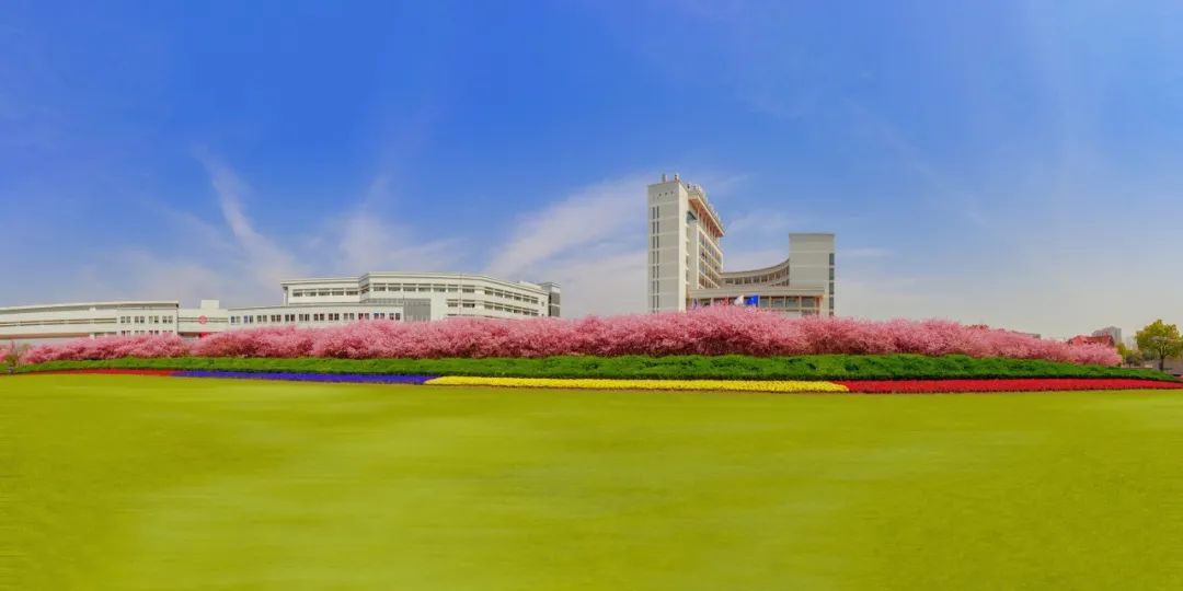 提质攀登!《文汇报》聚焦上海大学算力赋能科研和一流人才培养_上观新