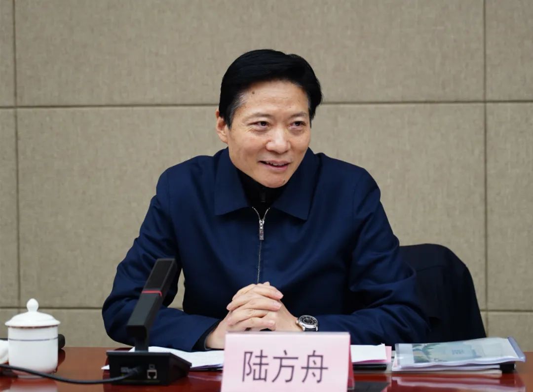 奋发有为创造新成绩区委书记陆方舟调研真新街道