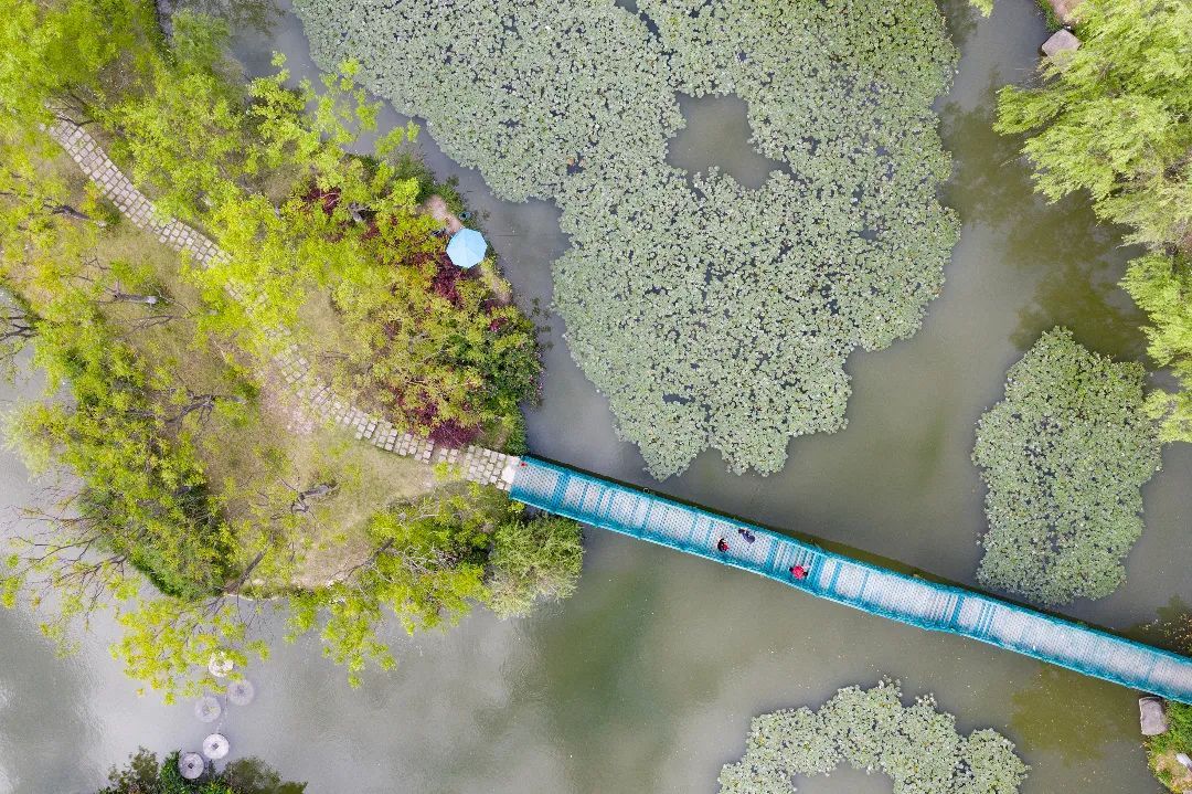 新开办1所九年一贯制学校完成4条配套道路建设2024年马陆镇民生实事