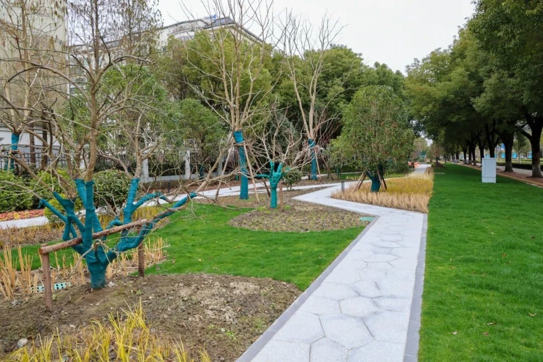 这个口袋公园正式对外开园
