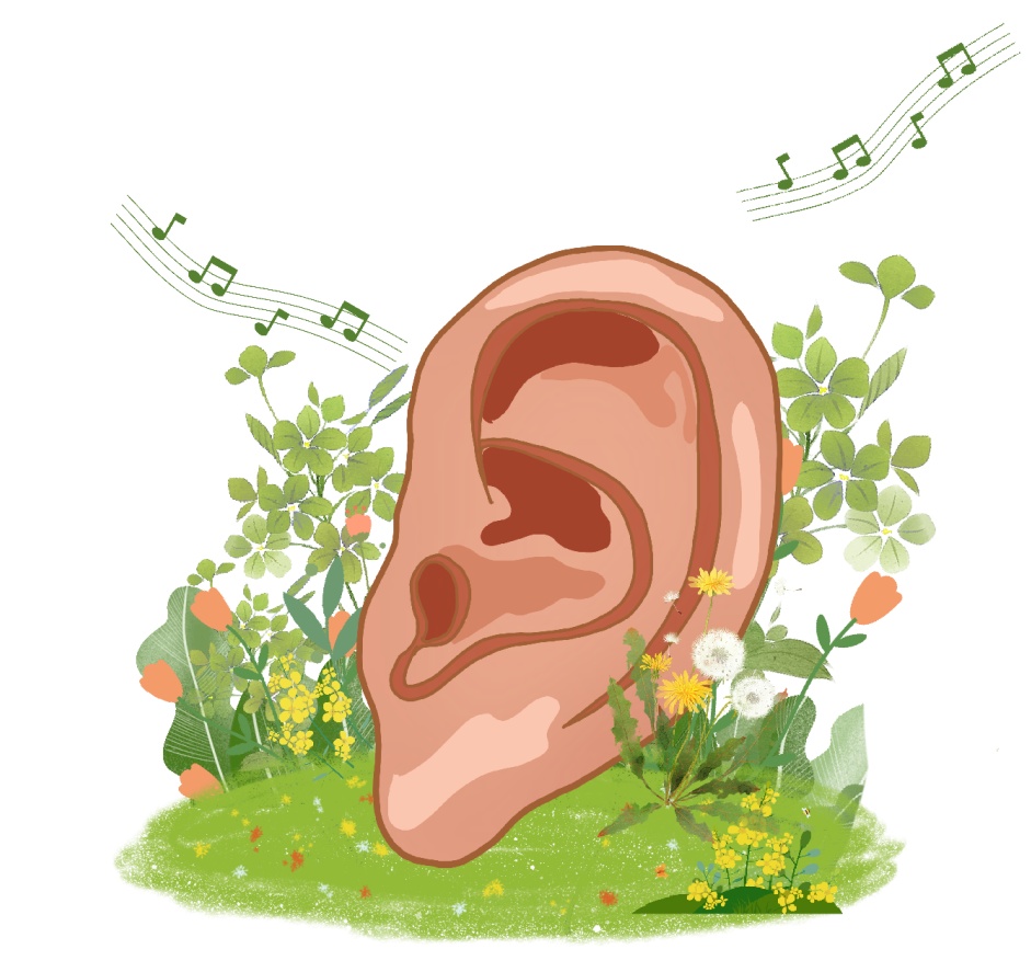 3爱护耳朵的你对耳机了解多少呢?