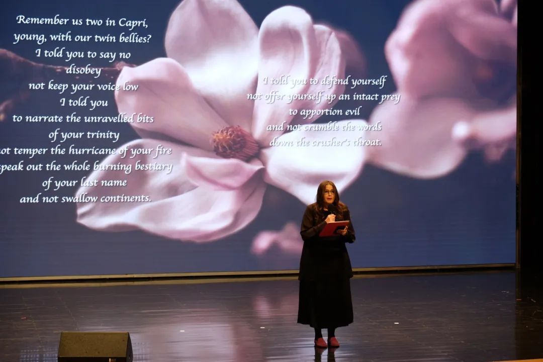 在普陀这里步行15分钟就有诗和远方