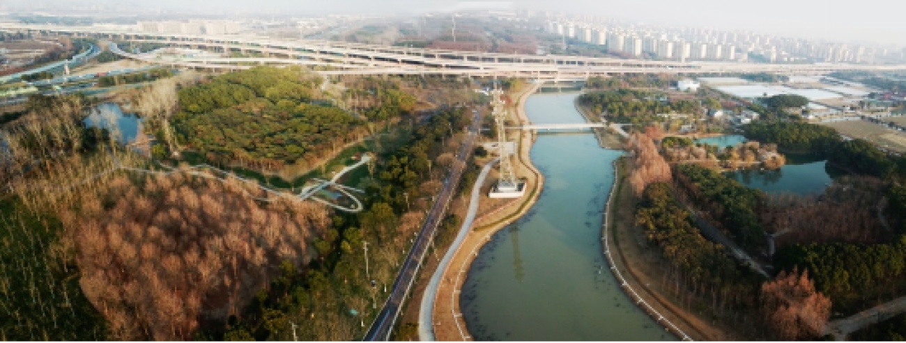 上海外环公园图片