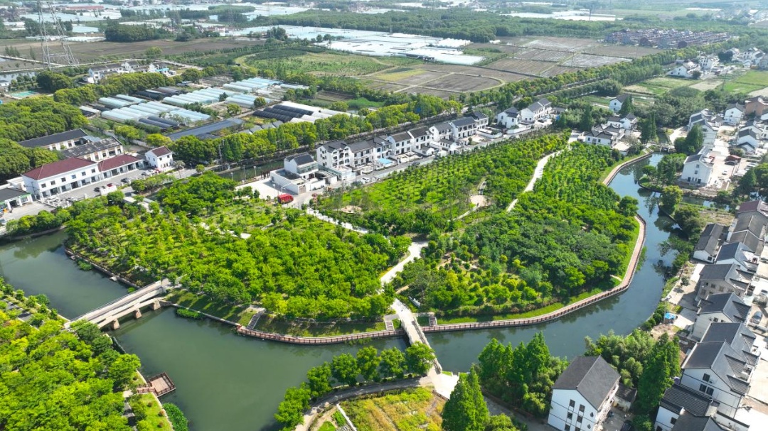 等我老了就回新丰这样生活