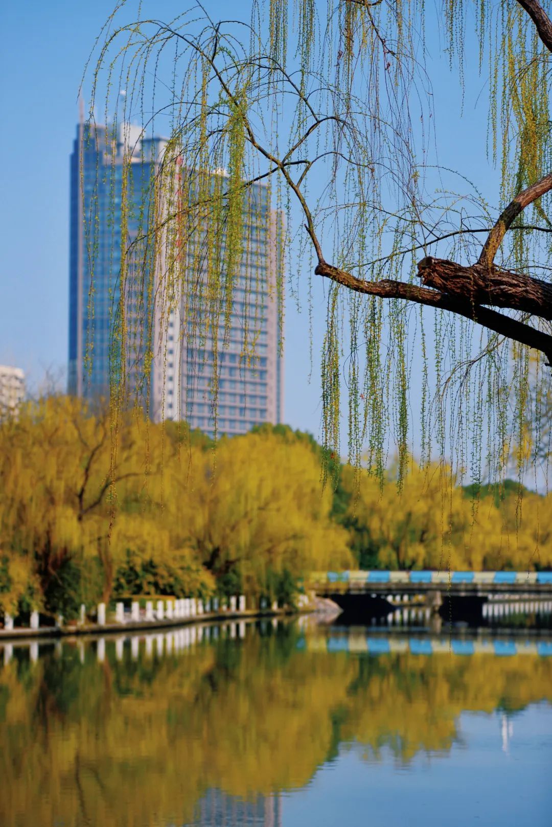 我的位置:>上观号>上海松江>文章详情>上午9点,记者在区青少年活动