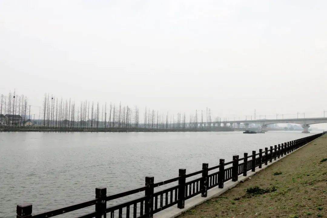 "太仓市陆渡街道陆渡村村委委员毛炎峰说,相信在大家的努力下,浏河