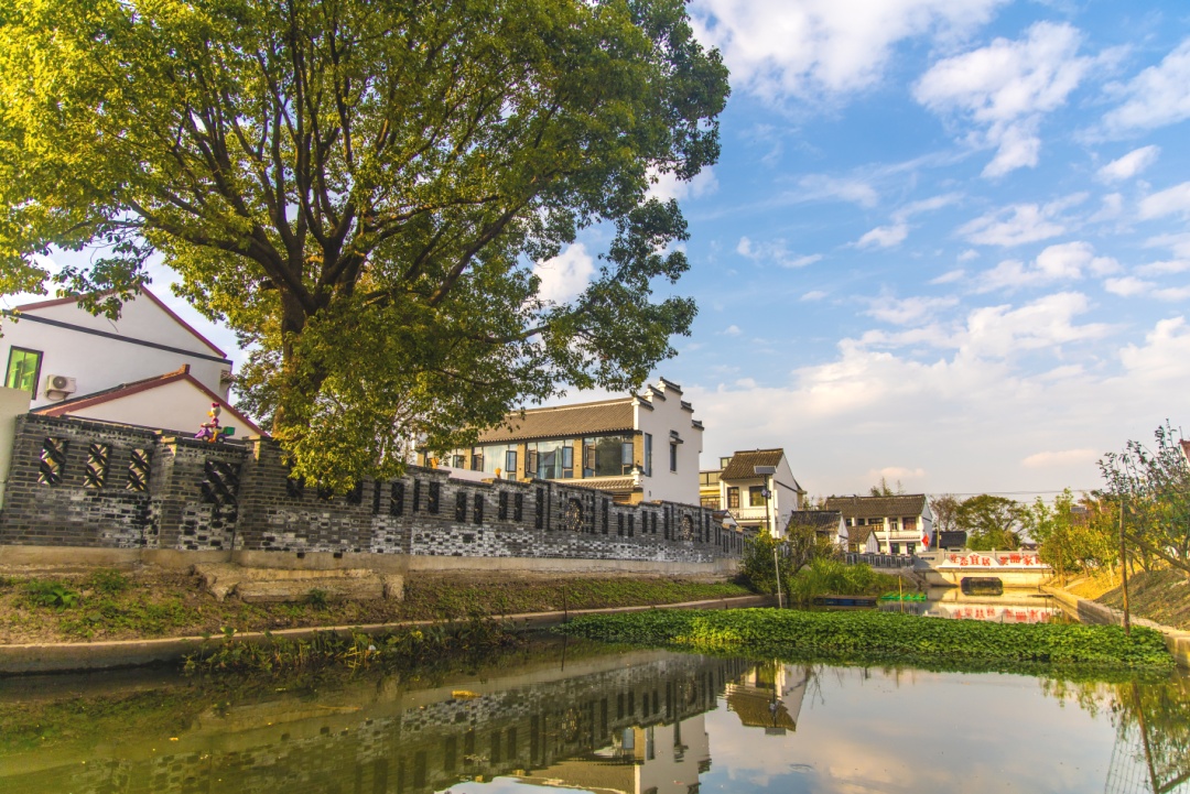 一村万树行动扮靓乡村四团镇小荡村有颜有植