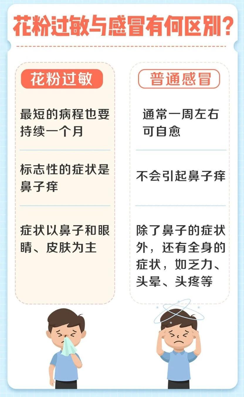 春风十里不讲理花粉过敏困扰你如何防护看这里