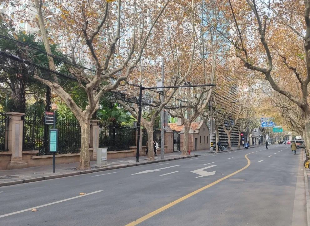 长宁这4处上榜市级名单看看有你家附近的吗