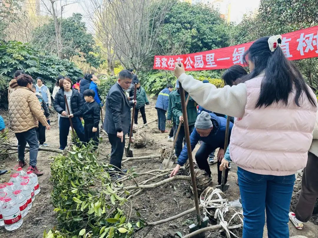 候鳥志願者在行動楊浦這裡打造愛的綠色花園