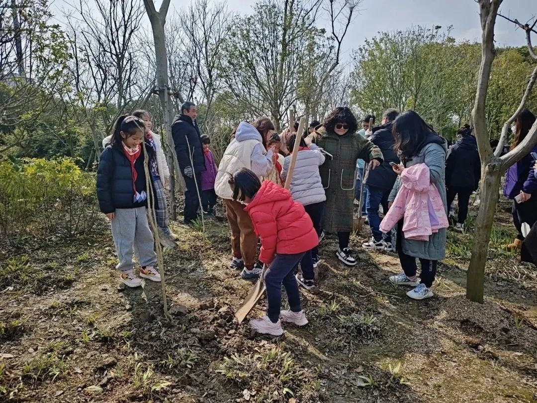 同时,3月上旬,在区绿委办的组织和指导下,龙泉港公园与金山区第二实验